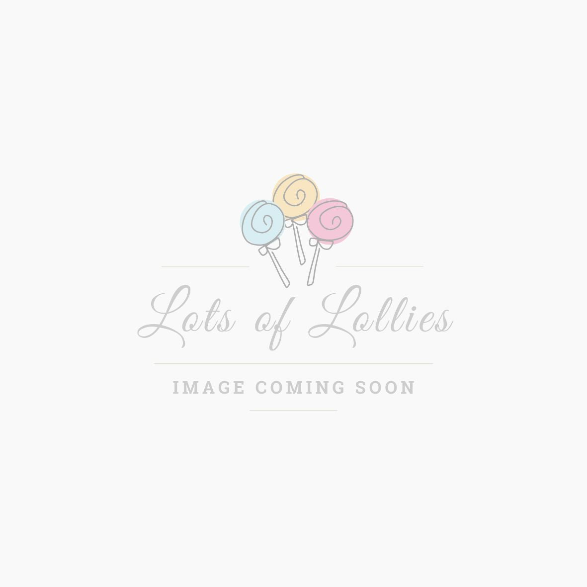 Replacement Stainless Steel lollipop clips (24)